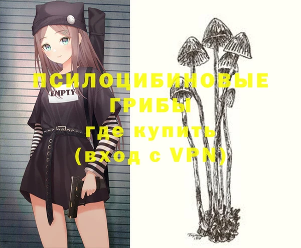 амфетамин Алексеевка