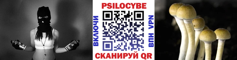Галлюциногенные грибы Psilocybine cubensis  наркотики  Осинники 